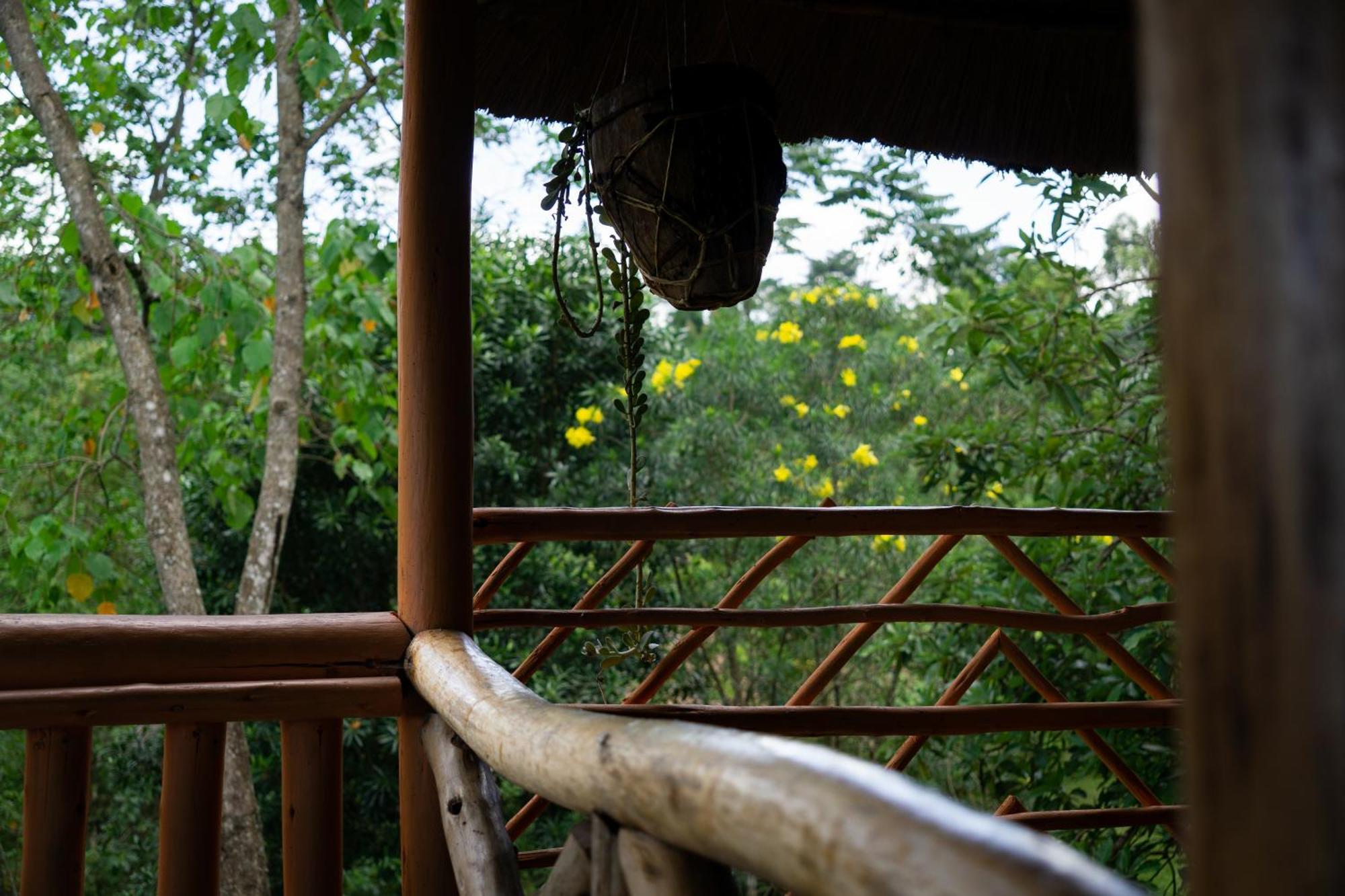 Dave The Cave Eco Lodge And Cultural Campsite Rubirizi Exterior foto